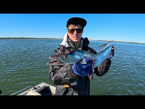 Видео: «Морские змеи» и спортивная рыба — рыбалка на Голд-Косте!