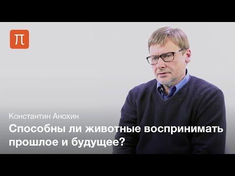 Видео: Проблема сознания у животных — Константин Анохин