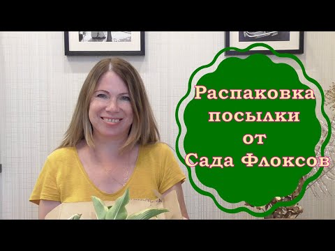 Видео: Получила посылку с хостами. Открываю с Вами!