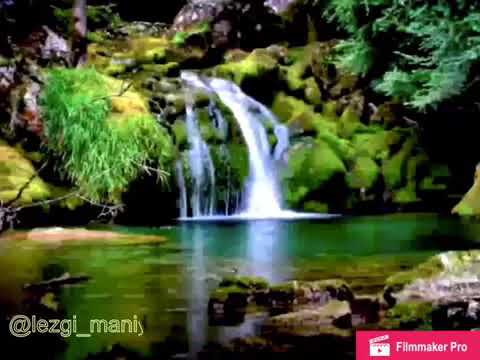 Видео: Группа Караван/Миша «Диде чан»/Лезги мани/lezgi_mani