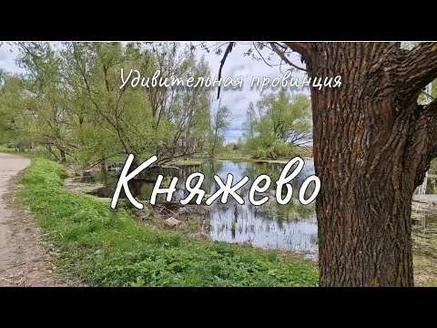 Видео: Княжево. Бежецк. Бежецкий район