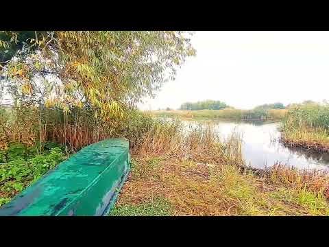 Видео: Дім, де нарешті можна видихнути