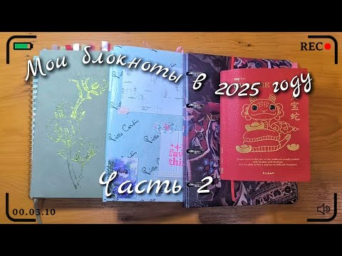 Видео: Какие блокноты веду в 2025 году || Часть 2 