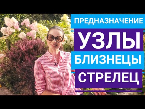Видео: Предназначение. Узлы по оси Близнецы - Стрелец