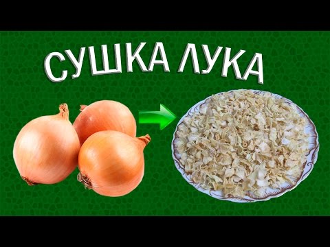 Видео: Сушка репчатого лука | Сушеные овощи | Еда в поход