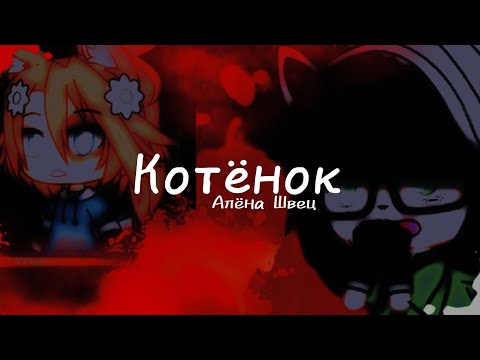 Видео: 🌹{Алёна Швец}🌿- котёнок🐱💞 •клип 🐈 ]𝕲𝖆𝖈𝖍𝖆 𝖑𝖎𝖋𝖊[☕💕