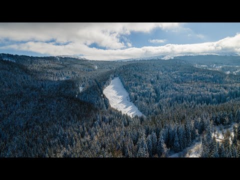 Видео: Разходка към писта Ветровала във Витоша/Walk to the Vetrovala track in Vitosha