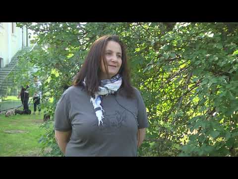 Видео: В предаването За кинологията с д-р Кънев:На фокус е една от най-модерните породи – френски булдог