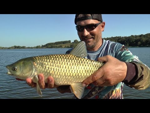 Видео: На что способен наноджиг!  Белый амур, караси, карпы и окуни на Crazy Fish Nano Zero и One