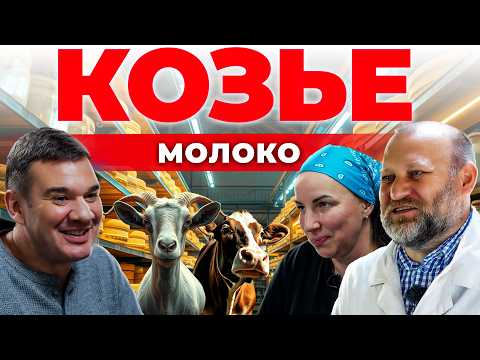 Видео: МИЛЛИОНЫ на козьем молоке и сыре! / Бизнес в деревне