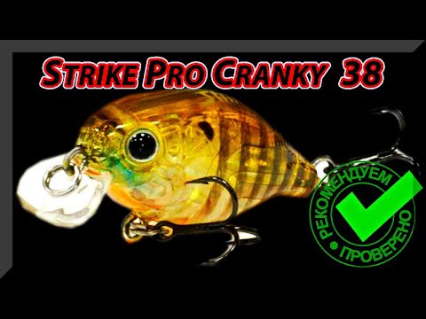 Видео: Strike Pro Cranky 40 как Воблер на Голавля. Фаворит или жалкое подобие Jackall Chubby 38.