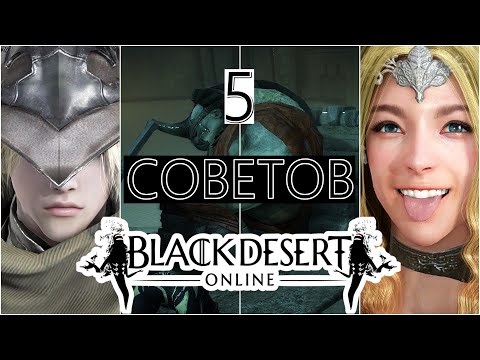 Видео: Black desert - 5 актуальных советов новичку!