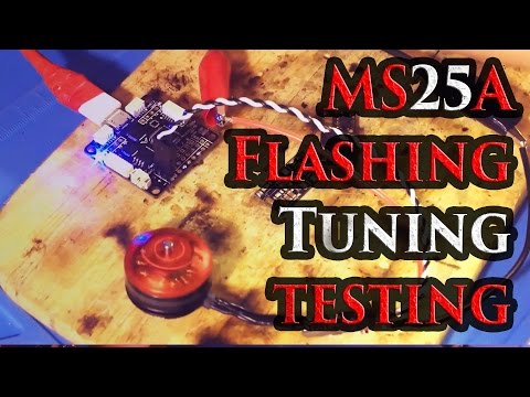 Видео: Прошивка BlHeli, подробная настройка, обзор Racerstar MS25A, DSHOT600