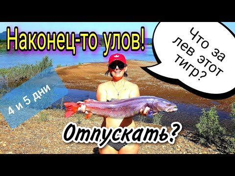 Видео: Средняя Терсь 4 и 5 дни / Заключительная серия