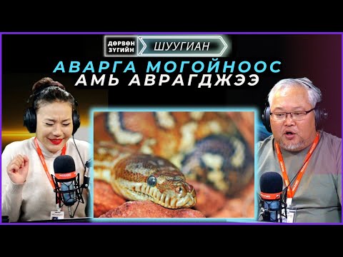 Видео: Дөрвөн зүгийн шуугиан | 2024-09-23 | Араар тавигчийг илчилсэн 58 хуудас өшөө авалт