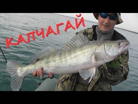 Видео: КАПЧАГАЙ, поиск домика Трофейных СУДАКОВ продолжается!