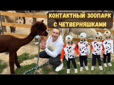 Видео: Мы с Четверняшками поехали в контактный Зоопарк Quads