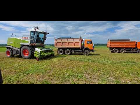 Видео: заготовка зелёной массы