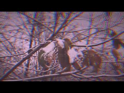 Видео: Перемотка – Все хотят тепла (Товарищ Астроном) (Slowed+Reverb)