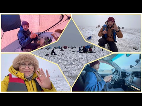 Видео: Зимняя рыбалка 2023 видео, природе и отдыхе.