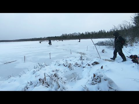 Видео: МОНСТРЫ на жерлицы и удочки! Ловля ротана со льда! Рыбалка зимой на 2021-22