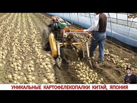 Видео: УНИКАЛЬНЫЕ КАРТОФЕЛЕКОПАЛКИ КИТАЙ , ЯПОНИЯ  ПОДБОРКА/ HOW POTATOES ARE DIGGED IN CHINA AND JAPAN