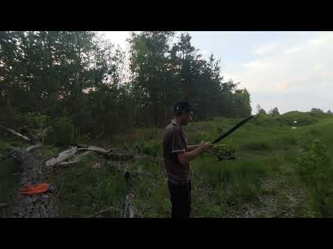 Видео: 31 мая 2025 г.