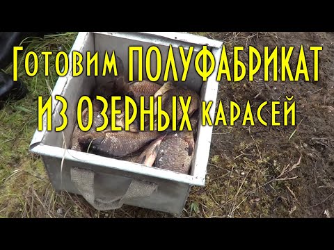 Видео: Готовим полуфабрикат из озерных карасей. Рецепты дяди Толи