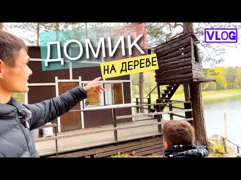 Видео: Едем на МОРЕ!🌊 Домик на дереве || Катаемся на лодке🛶