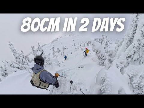 Видео: 80 см снега в ноябре?!