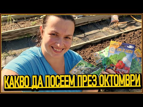 Видео: Есента дойде🍂, но градината ни не спира! 🌿Какво сеем през октомври?🌱| Живот на село с Дидо и Кали