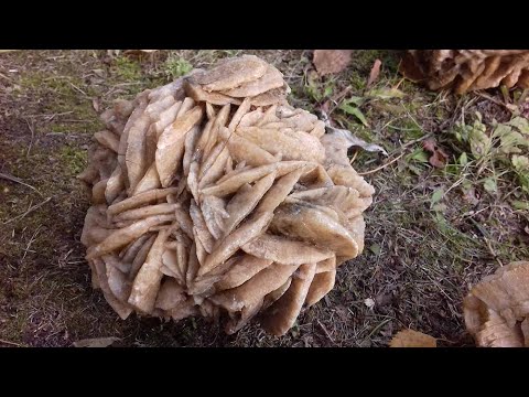 Видео: Гипсовые розы, Алтайский край.