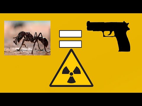 Видео: Бұл құмырсқа уы қарумен атқанға тең ⚠️ | Әлемдегі ең қауіпті әрі улы жәндіктер|ӘЛЕМ АРНАСЫ | ҚАЗАҚША