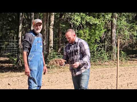 Видео: ДО НАСТУПЛЕНИЯ ЗАМОРОЗКОВ! ОБНОВЛЕНИЕ ДЛЯ САДОВ
