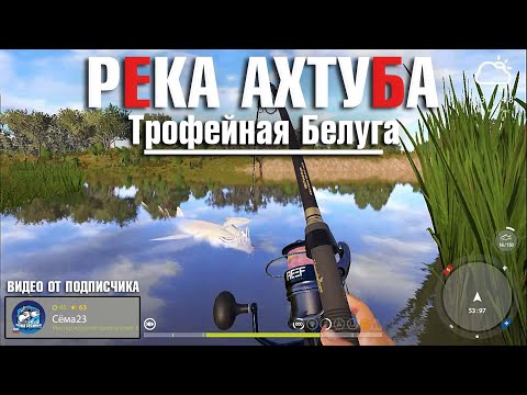 Видео: Трофейная Белуга • Видео от подписчика Сёма23 • Русская Рыбалка 4 • Река Ахтуба