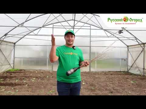 Видео: Приобрели саженцы с ОКС, а в вашем регионе уже устойчивые холода? Не страшно!