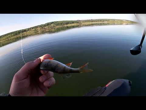 Видео: открыли сизон с микроджига есть маленький бонус