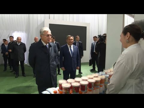 Видео: Президент шаруалармен кездесті