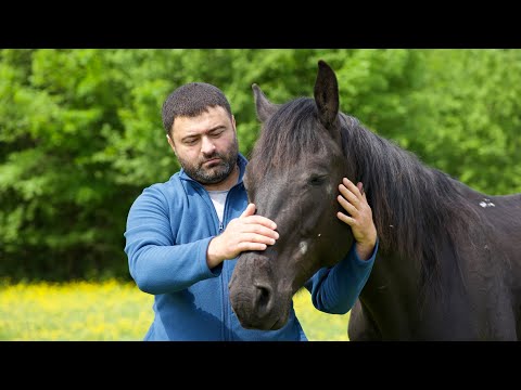 Видео: Правильный Рецепт Сочного Шашлыка на Лето! Как Зажарить Мясо в Лесу👍