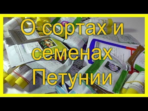 Видео: О #сортах и #семенах петунии на 2019 г. Где купить #семена?