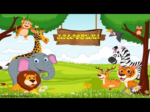 Видео: Физминутка "Зверобика"