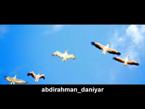 Видео: Ырғыз-мақтаным менің! Сөзі: Берік Зейнов, Әні: Нұрталап Жүсіпов