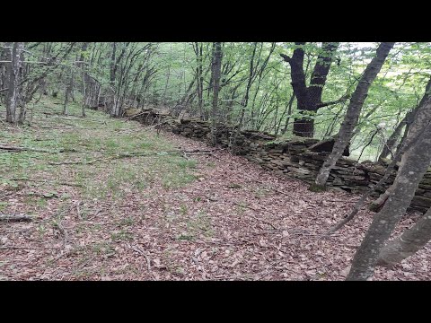 Видео: Лесичарка – крепост Чукара/2024/