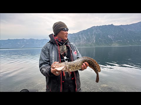 Видео: НАЛИМЫ на ДЖИГ, ОКУНИ КОНИ, ХАРИУСЫ, ГОЛЬЦЫ, РЫБАЛКА В ДИЧАЙШИХ МЕСТАХ ЯКУТИИ и АЭРОЛОДКИ