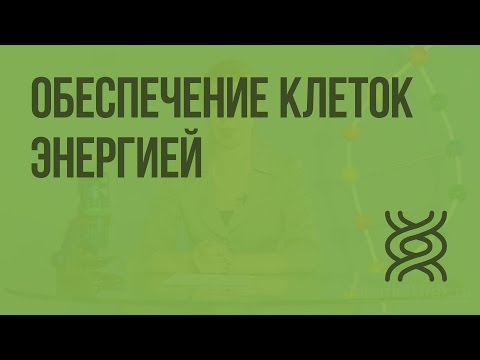 Видео: Обеспечение клеток энергией. Видеоурок по биологии 9 класс