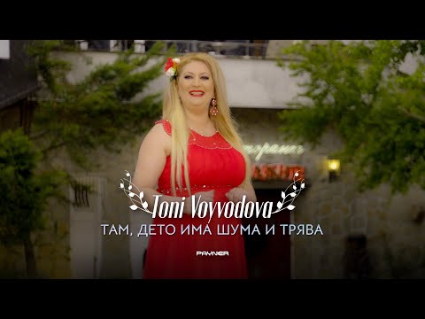 Видео: TONI VOYVODOVA - TAM, DETO IMA SHUMA I TRYAVA / Тони Войводова - Там, дето има шума и трява | 2023