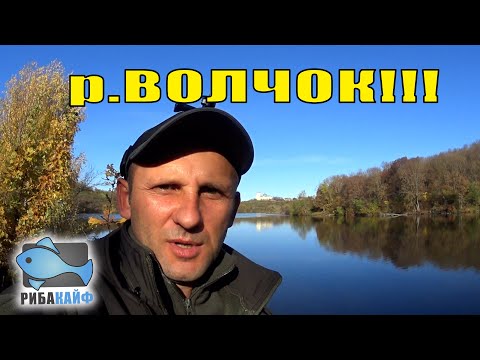 Видео: річка ВОЛЧОК!!село ШАРІВКА!! СУДАК і ОКУНЬ!