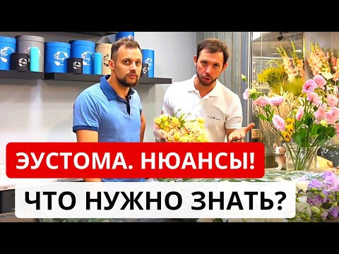 Видео: ЭУСТОМА. ПРО НЮАНСЫ для флористов и для покупателей. Особенности, плюсы, качество эустомы.