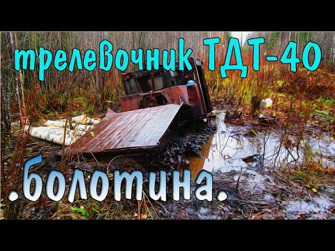 Видео: Трелевочник ТДТ-40. Вызволение из болотины.