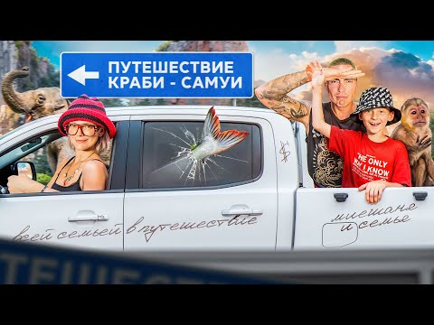 Видео: ПУТЕШЕСТВИЕ КРАБИ - САМУИ: Дикие Обезьяны, Слоны и ГИГАНТСКИЙ Улов